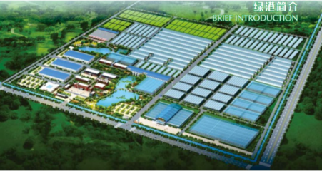 現(xiàn)代農(nóng)業(yè)產(chǎn)業(yè)園融合網(wǎng)絡(luò)科技 驅(qū)動農(nóng)業(yè)現(xiàn)代化的雙引擎