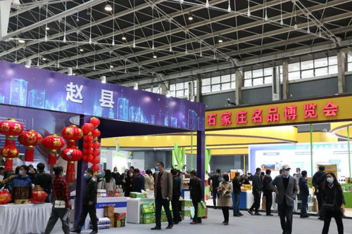 鑫慶余·石家莊名品博覽會 三千精品薈萃，共繪產業新圖景